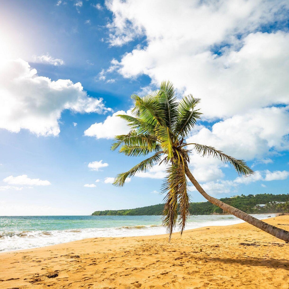 View of Escambrón Beach in Puerto Rico with clear shallow waters, scattered swimmers and families on the sandy shore.