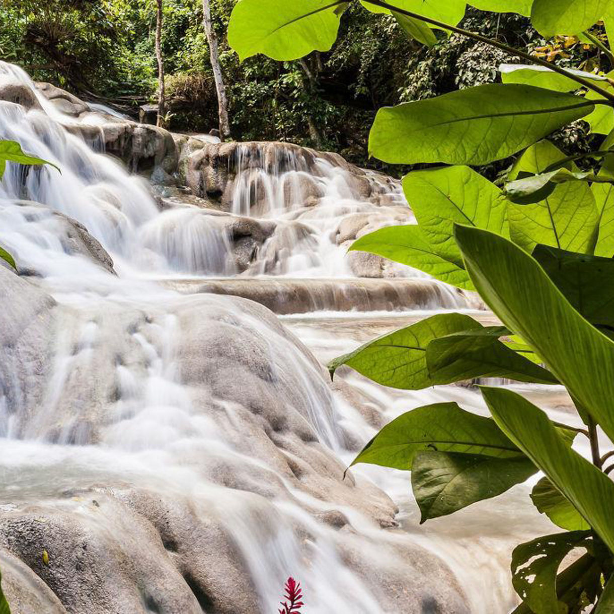 View of Dunn’s River Falls in Jamaica with cascading water flowing over smooth rocks, surrounded by dense green foliage.