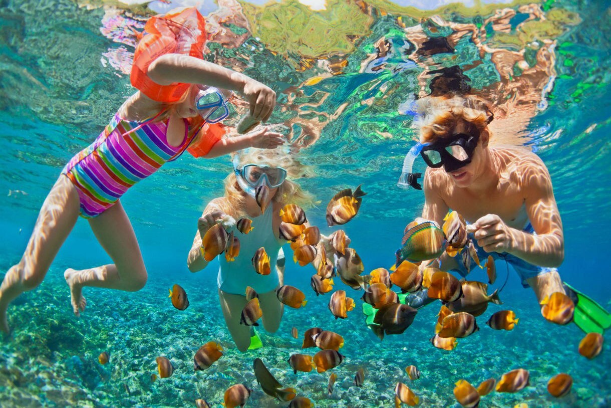 A family of three, wearing snorkeling masks, swims underwater together as colorful tropical fish surround them in a coral reef.