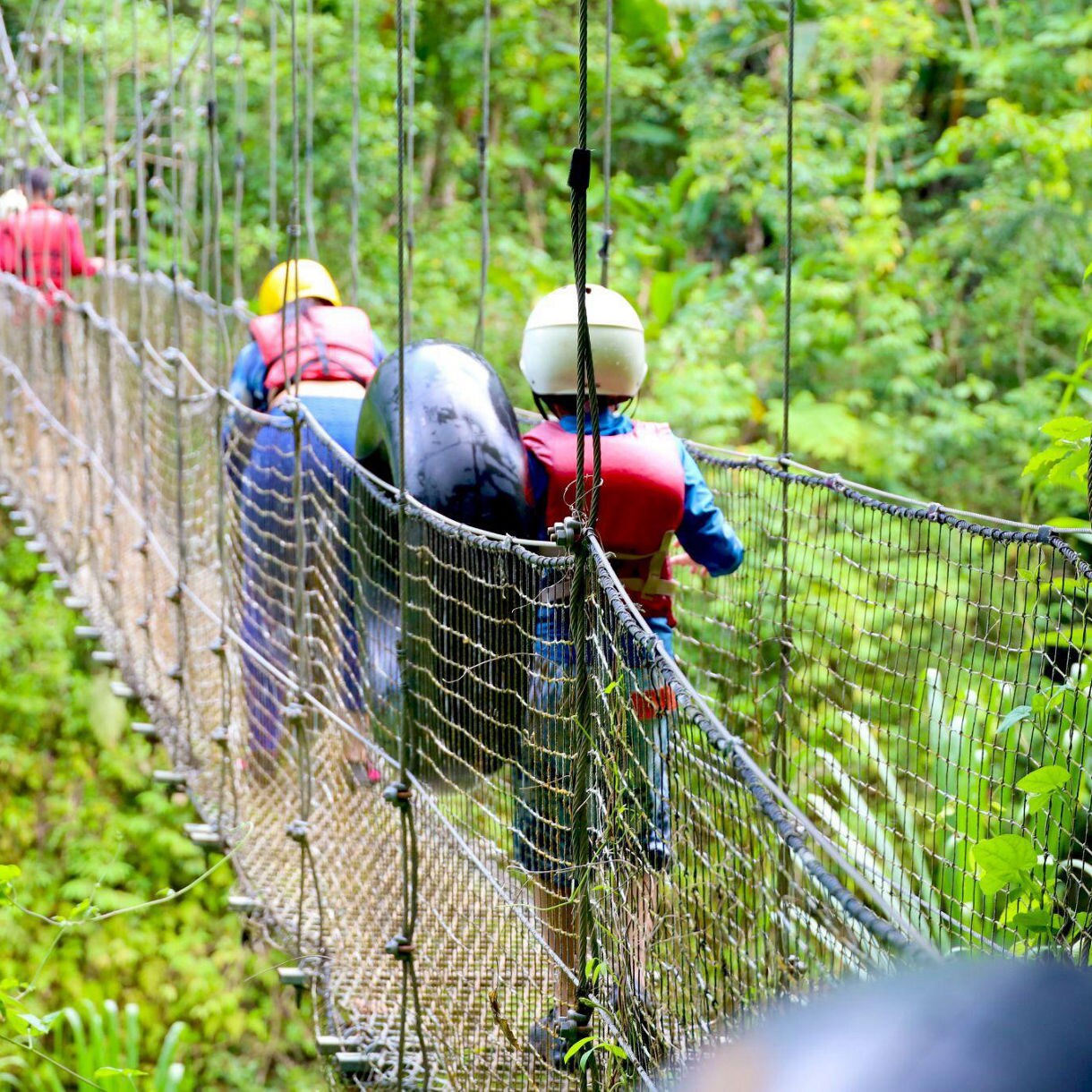 A suspension bridge that stretches across a lush, green forest in Puerto Rico, surrounded by tropical foliage.