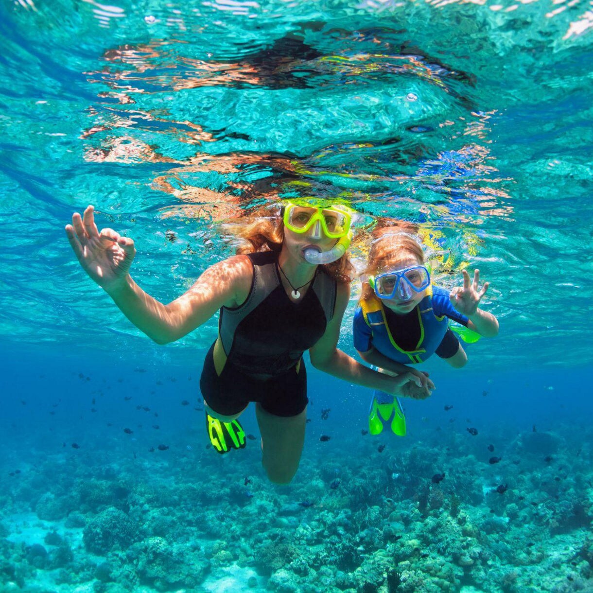 Woman and child snorkeling in clear Caribbean waters, wearing fins and masks, surrounded by coral and tropical fish.