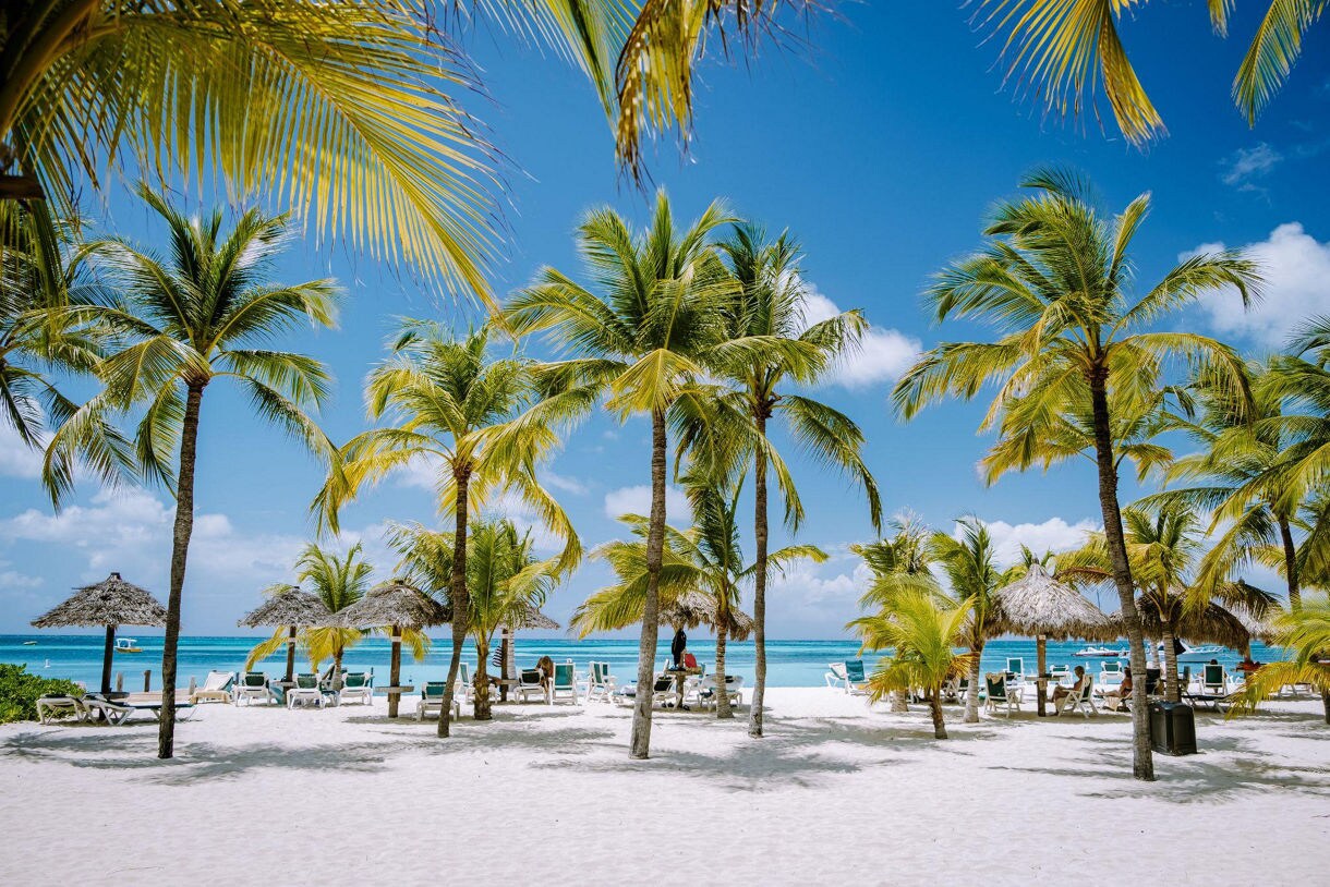 Tropical beach in Aruba with white sand, tall palm trees, lounge chairs and thatched umbrellas facing clear blue ocean water under a bright sky.