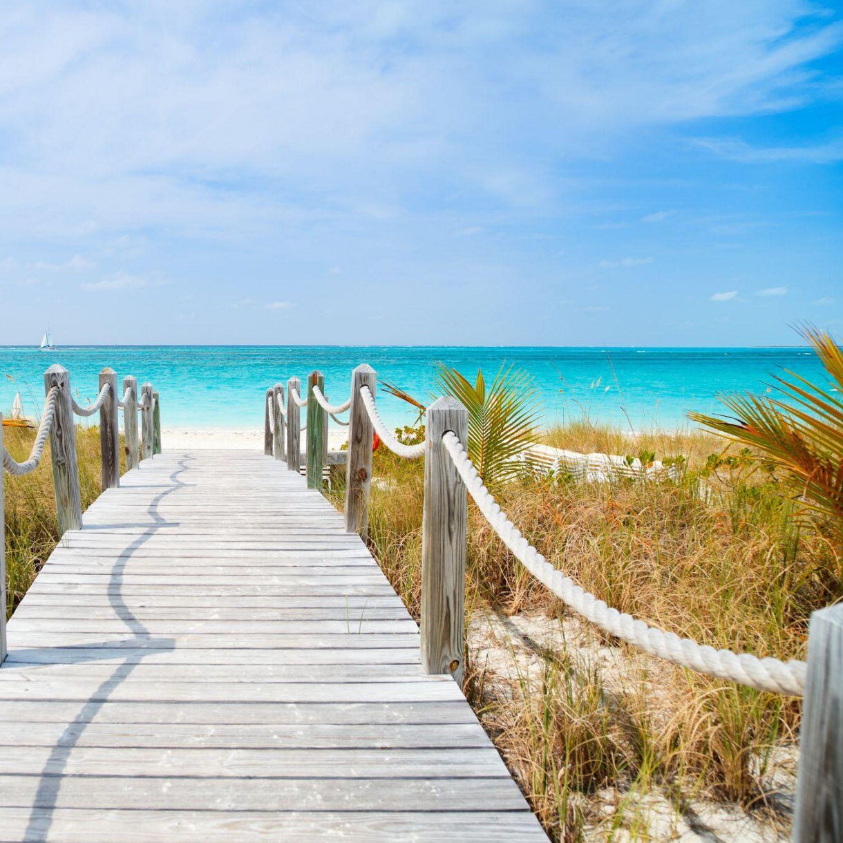A boardwalk with rope railings leads the viewer to a white sandy beach and bright blue ocean.