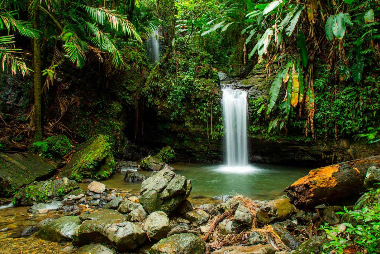 Juan Diego Falls cascades through tropical greenery in El Yunque National Forest. 