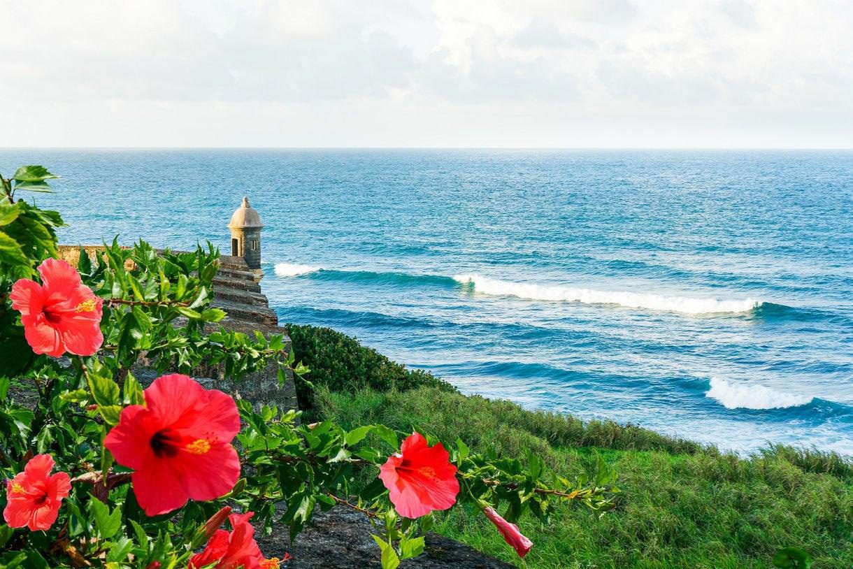 View of the San Juan port in Puerto Rico featuring red hibiscus flowers in the foreground, a stone fort turret on the left, and gentle ocean waves under a partly cloudy sky.