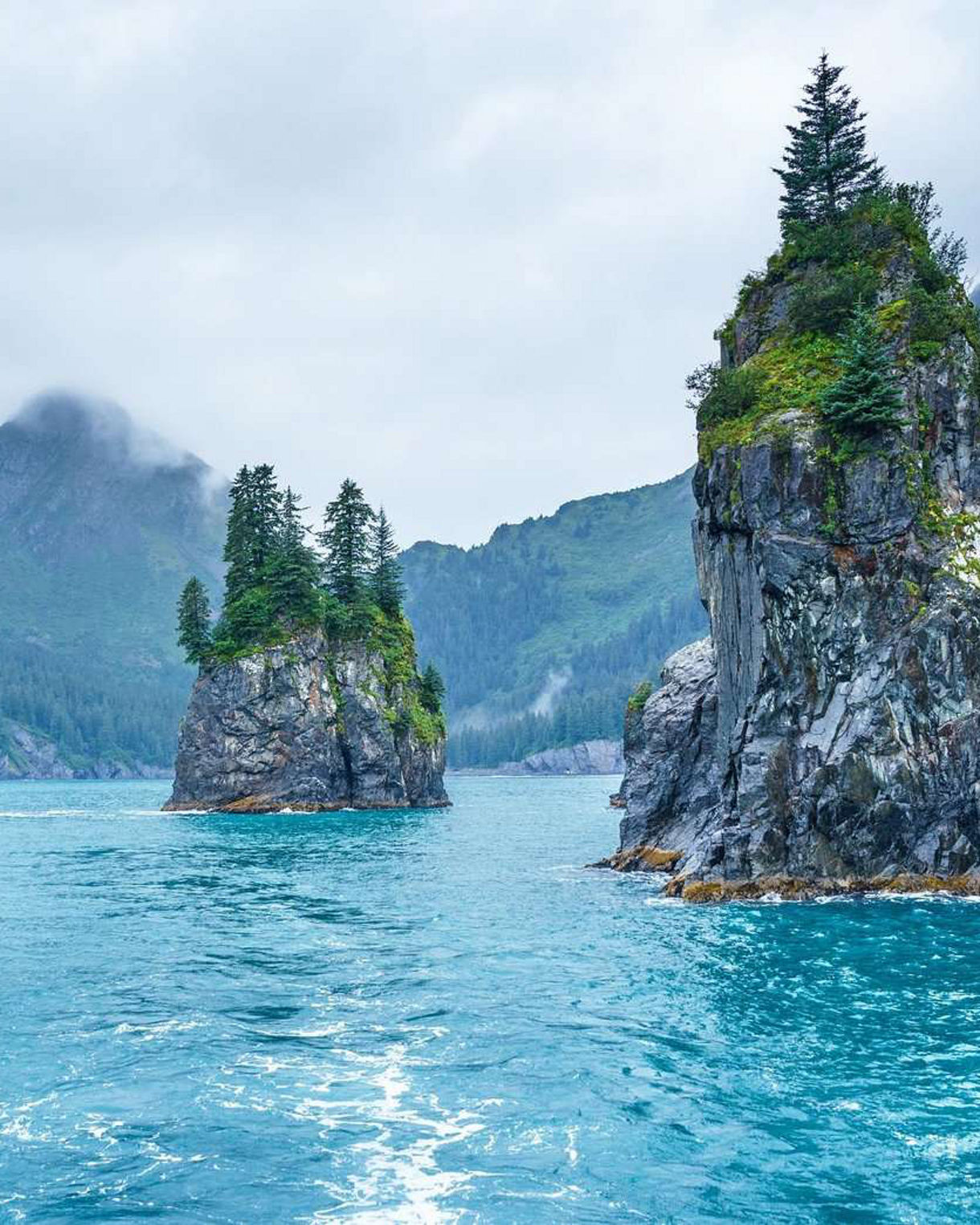Dramatic coastal rock formations with evergreen trees rising from turquoise water, shrouded in mist with forested mountains in background