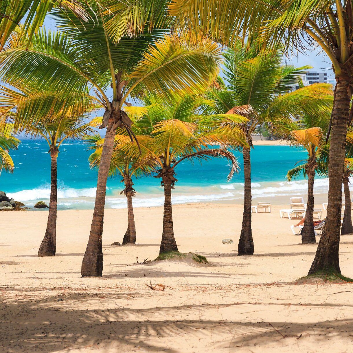 Beach Escape at Vivo Beach Club