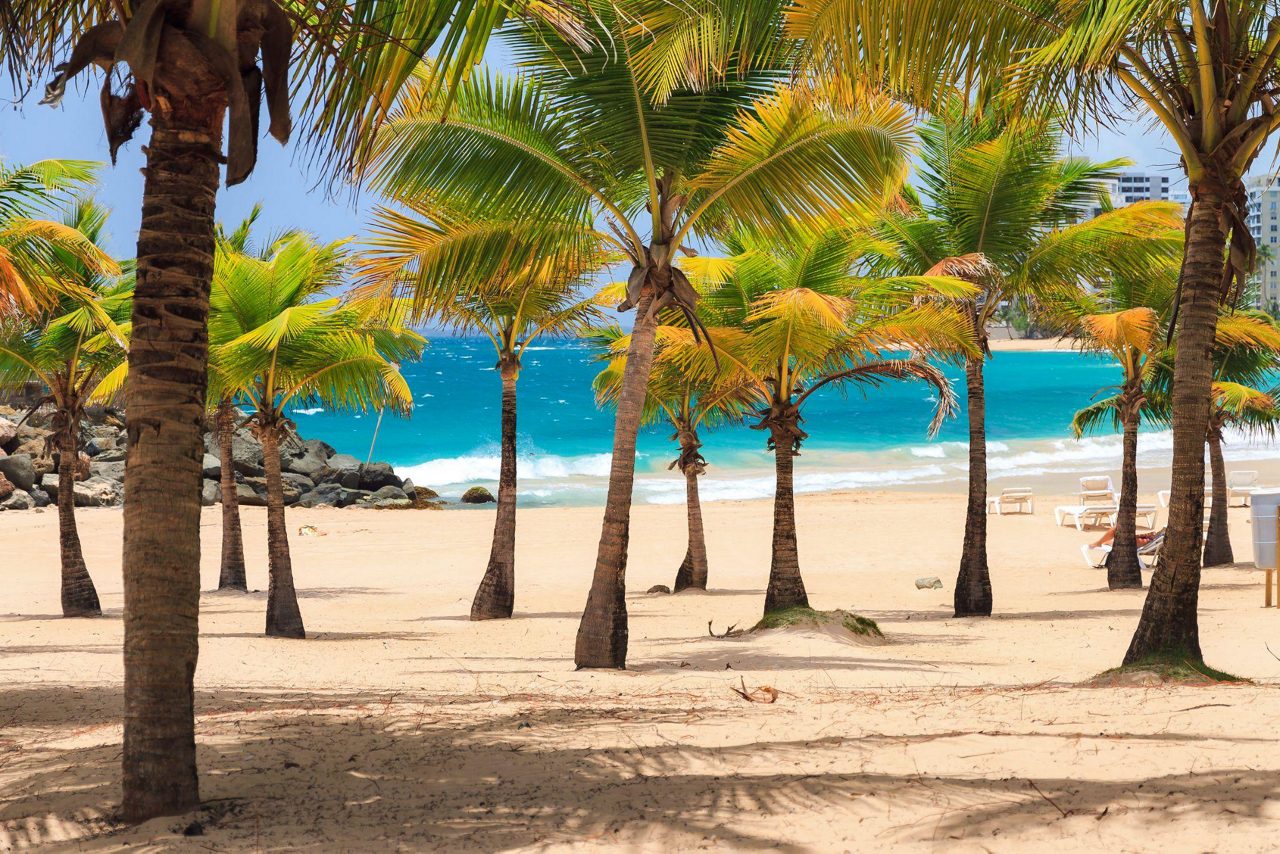 Beach Escape at Vivo Beach Club