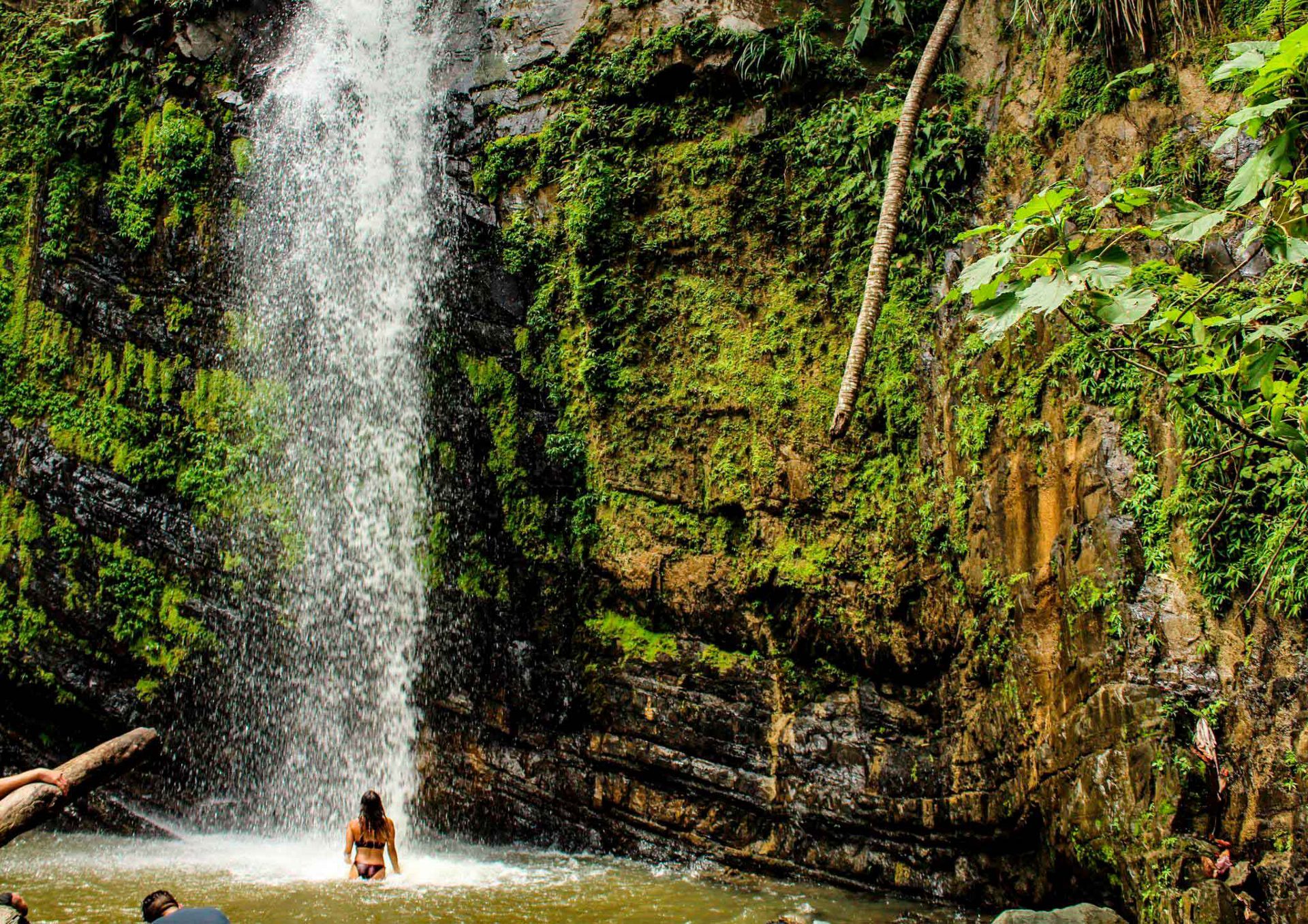 The remote waterfall cascades into a pool surrounded by lush vegetation.