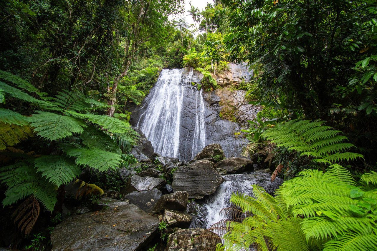El Yunque National Rainforest Scenic Drive