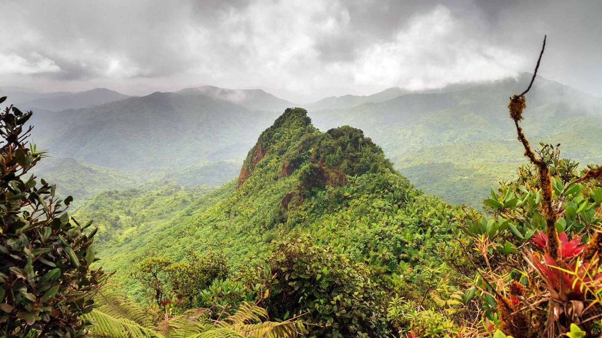View of El Yunque National Forest in Puerto Rico with a rugged green peak surrounded by dense rainforest and misty mountain ridges.