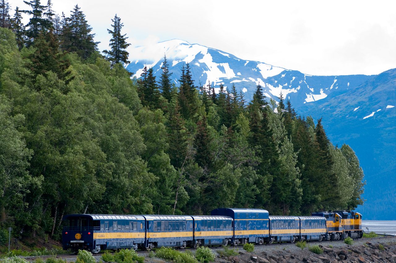 Scallops served over a bed of vegetables.