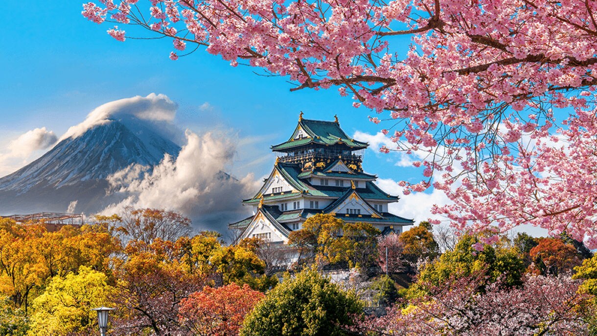 Spring Flowers, Summer Festivals and Royal Princess Debut Highlight Princess Cruises’ 2024 Japan
