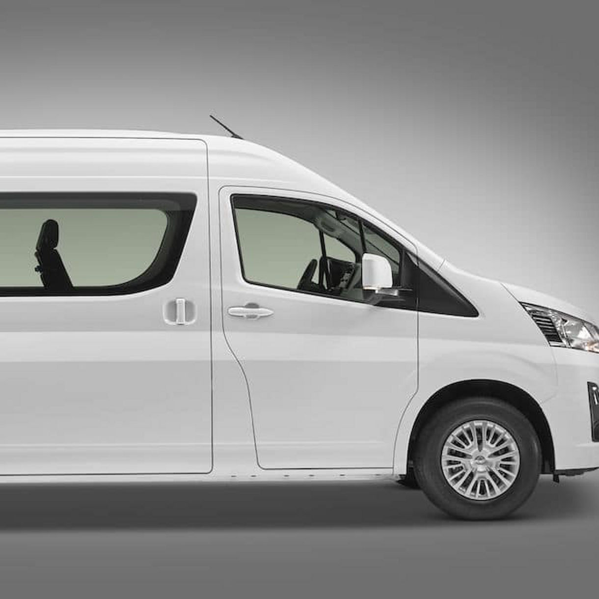 Discover Puerto Plata Your Way by Private Van