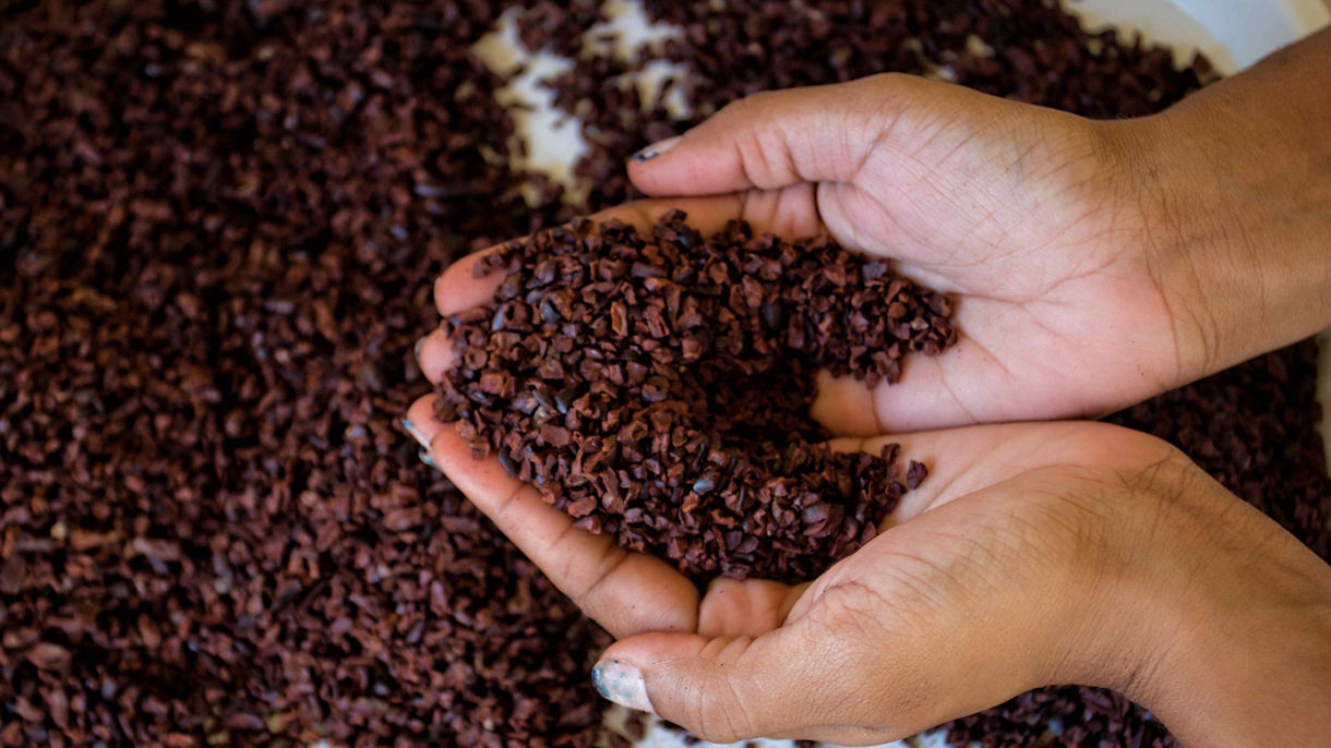 Local Connections: Hands On Chocolate Experience with Women's Co-op