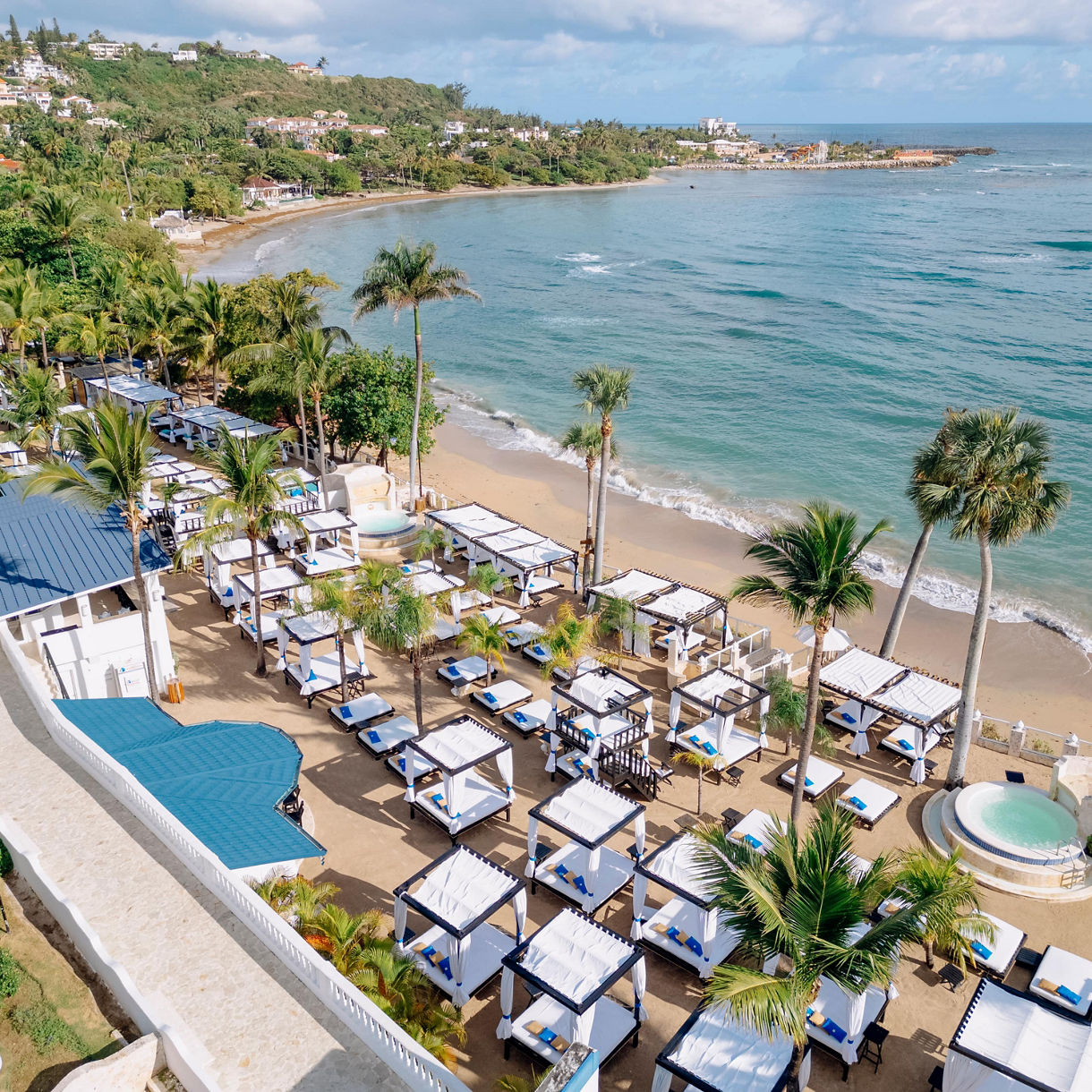 Monkeyland & All-Inclusive Lifestyle Beach Resort with Lunch
