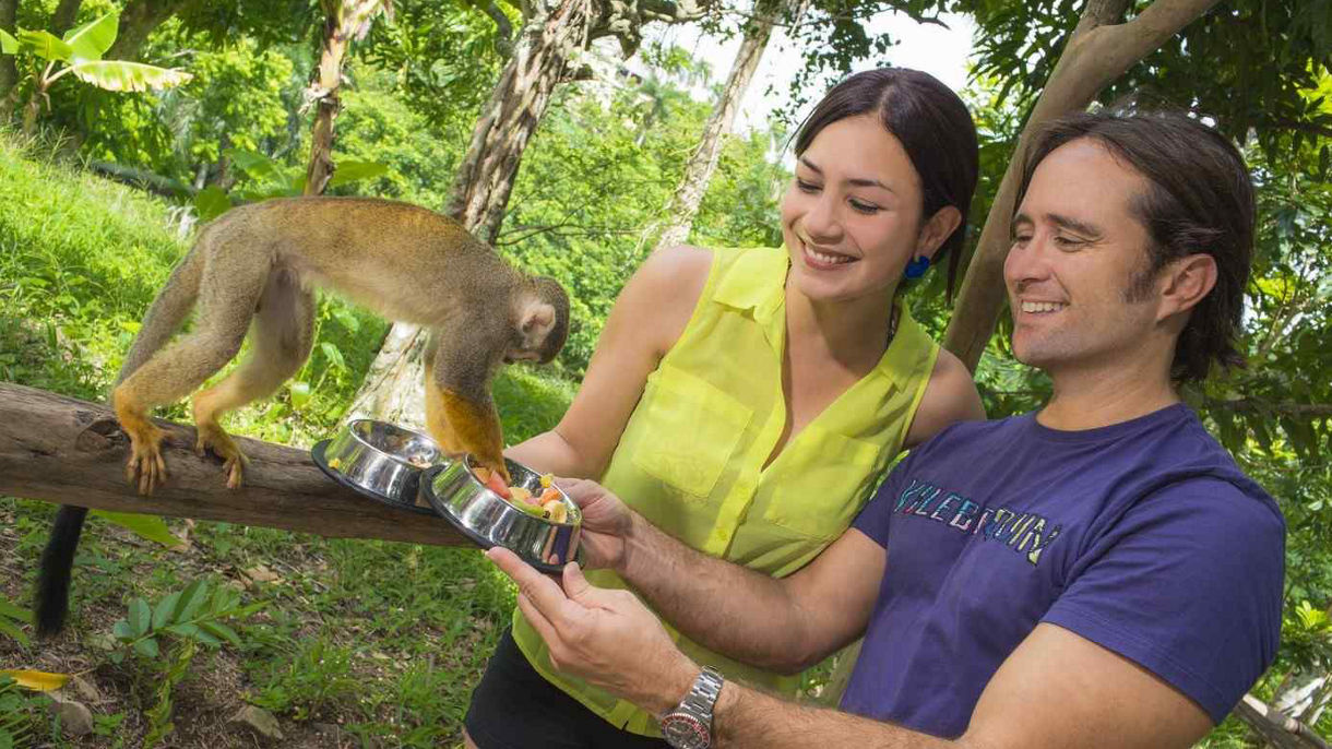 Monkeyland & Dominican Flavors for Families