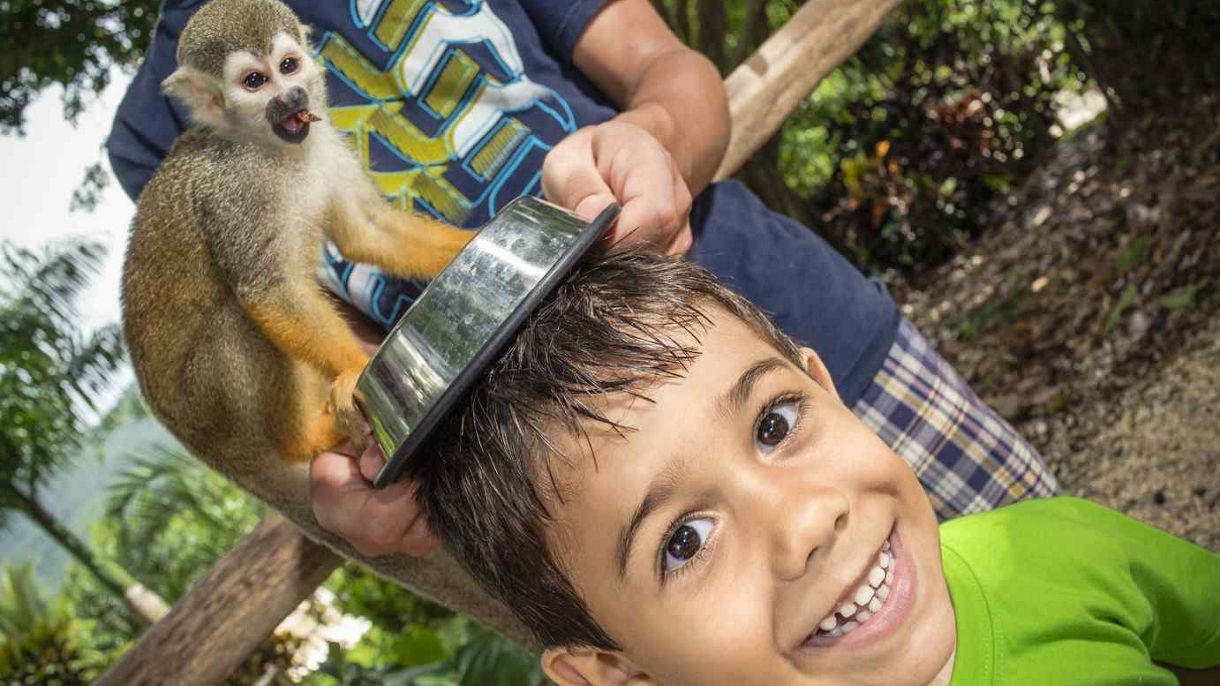 Monkeyland & Dominican Flavors for Families