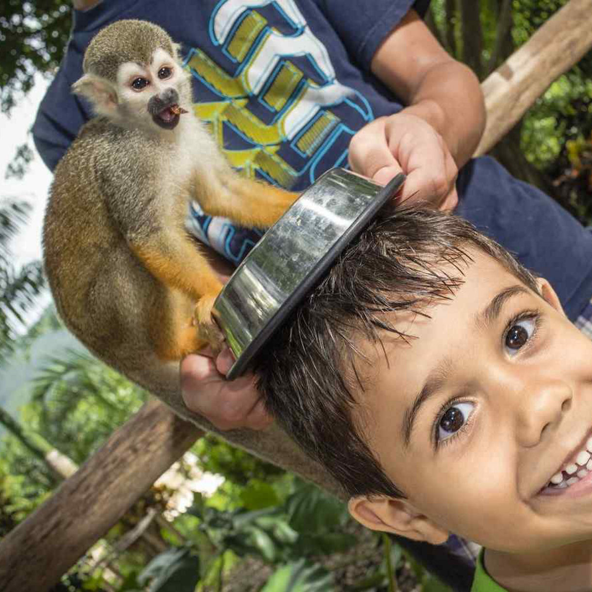 Monkeyland & Dominican Flavors for Families