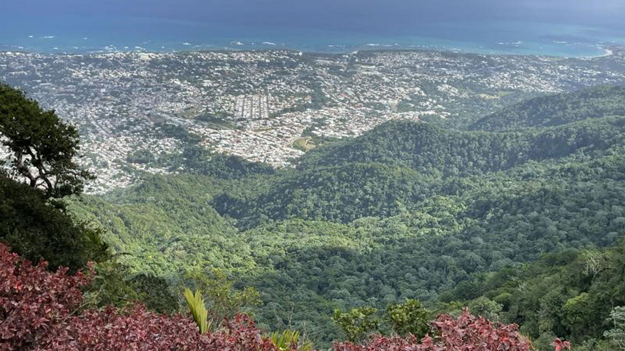 Mountain Views & City Sights
