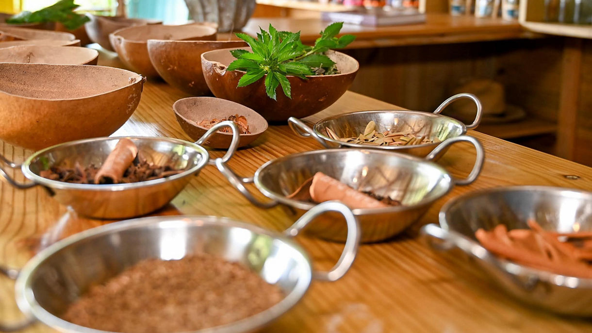 Local Connections: Ecolodge Getaway & Farm-to-Table Experience