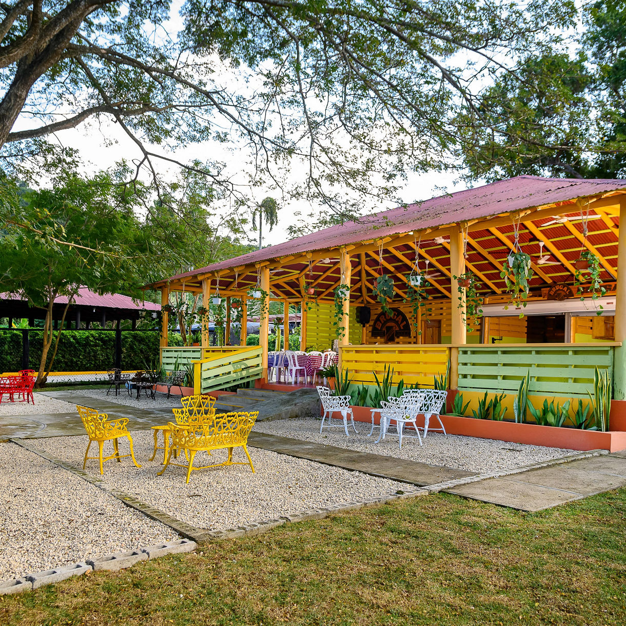 Damajagua Swim & Dominican Safari Cultural Experience with Lunch