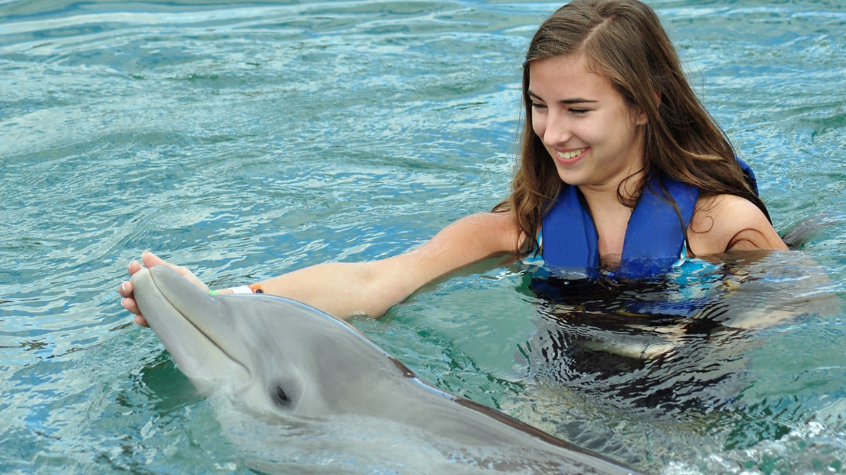 Dolphin Encounter & Ocean World Day Pass