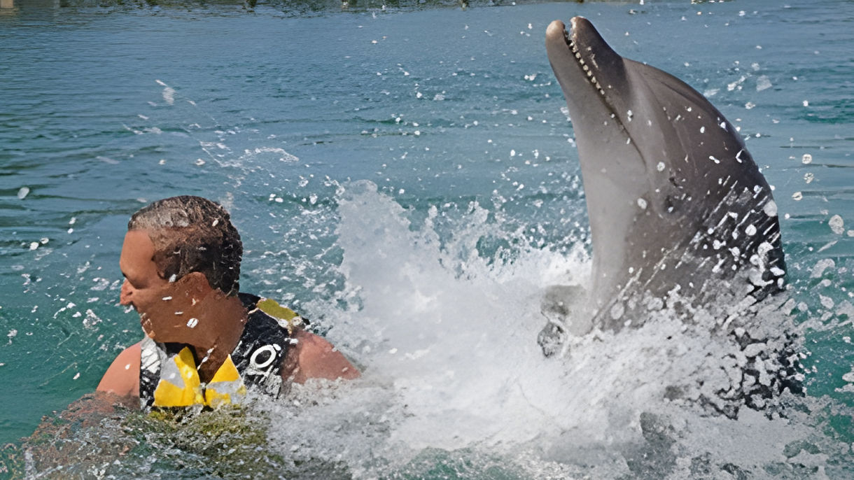 Dolphin Swim & Ocean World Day Pass