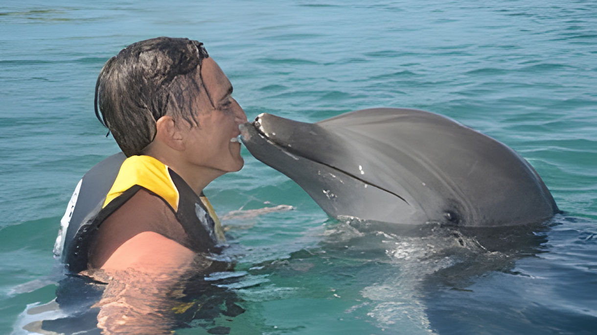 Dolphin Swim & Ocean World Day Pass