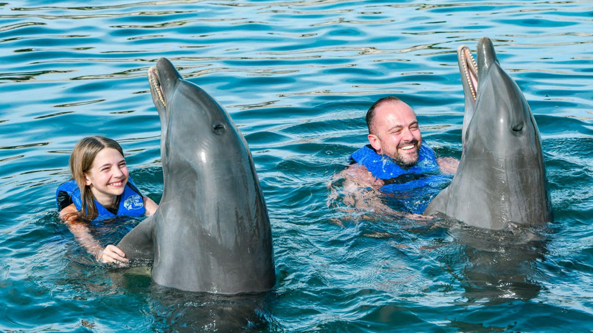 VIP Dolphin Swim Experience & Ocean World Day Pass with Lunch