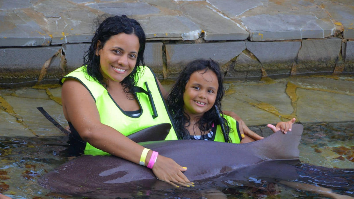 Dolphin, Sharks & Sea Lion Adventure at Ocean World with Lunch