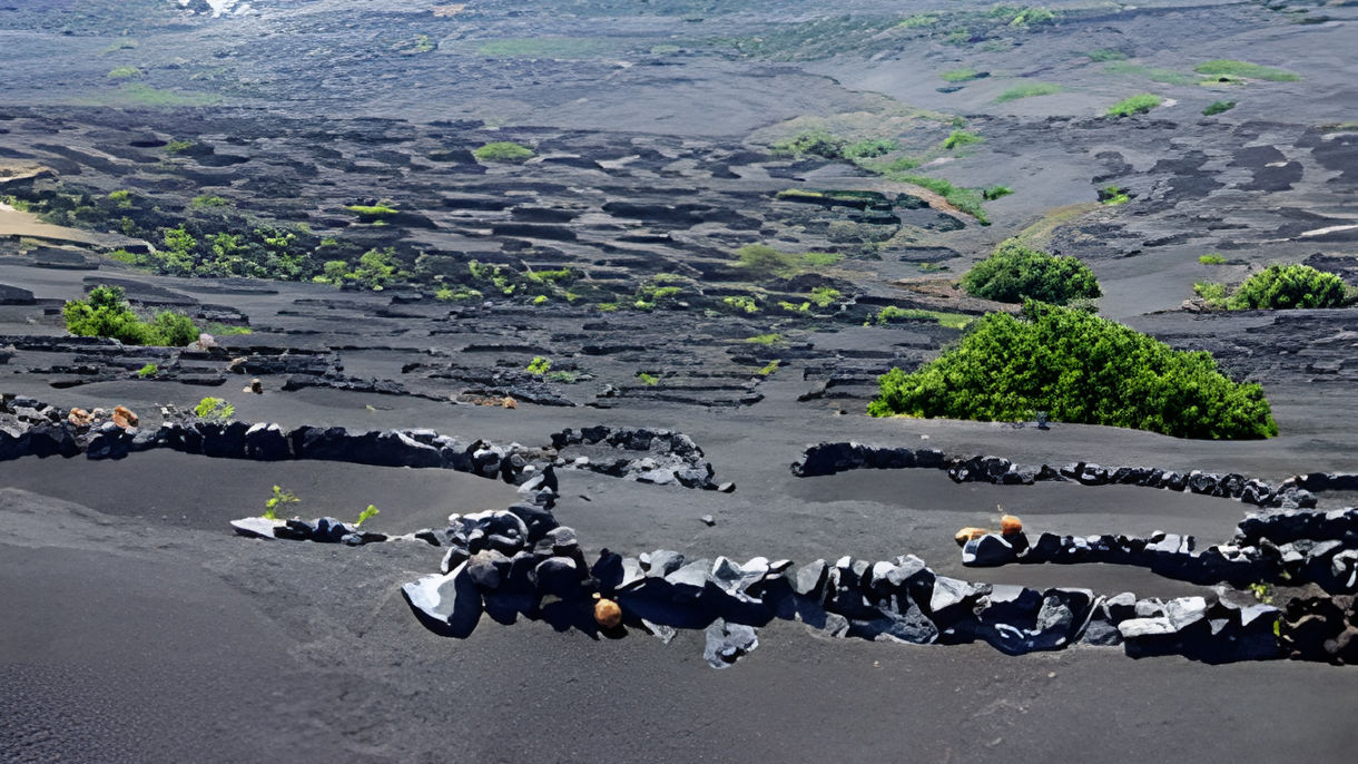 Lanzarote Wine Route
