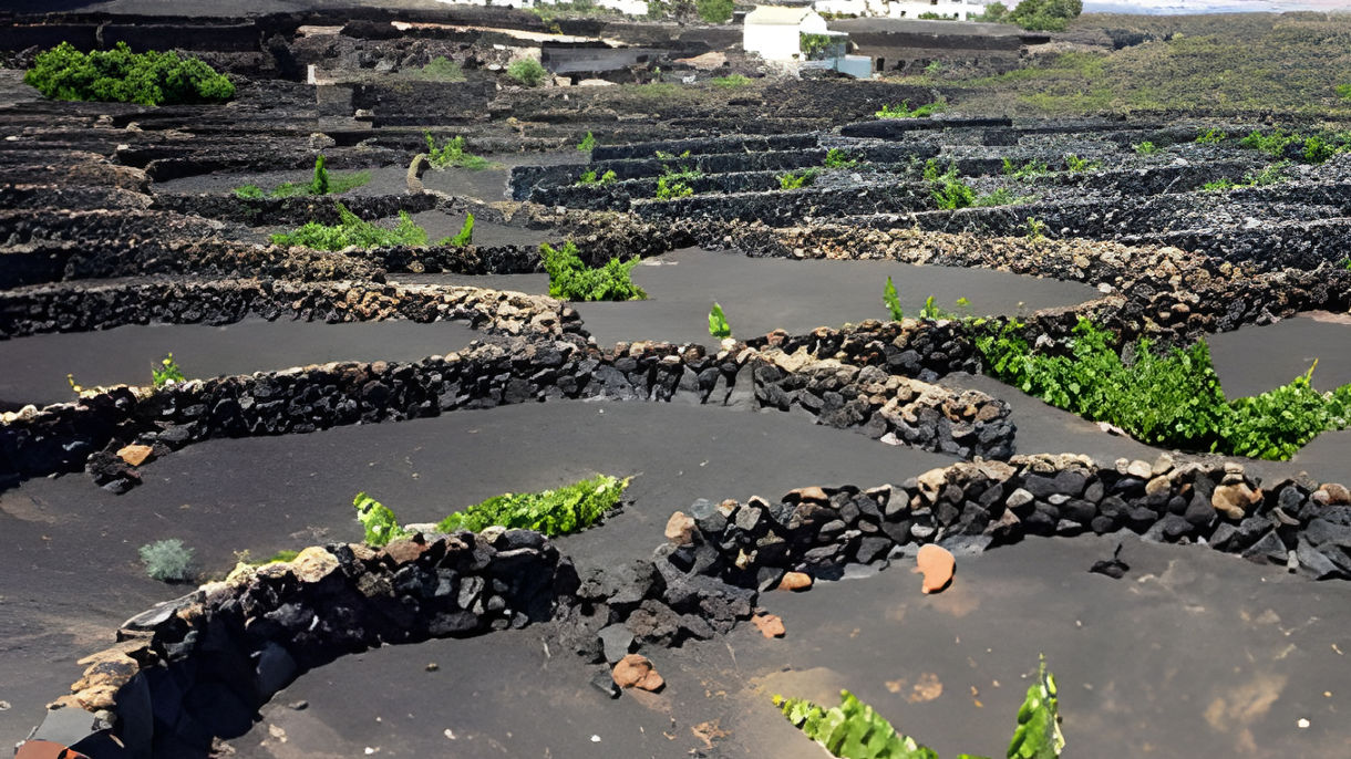 Lanzarote Wine Route