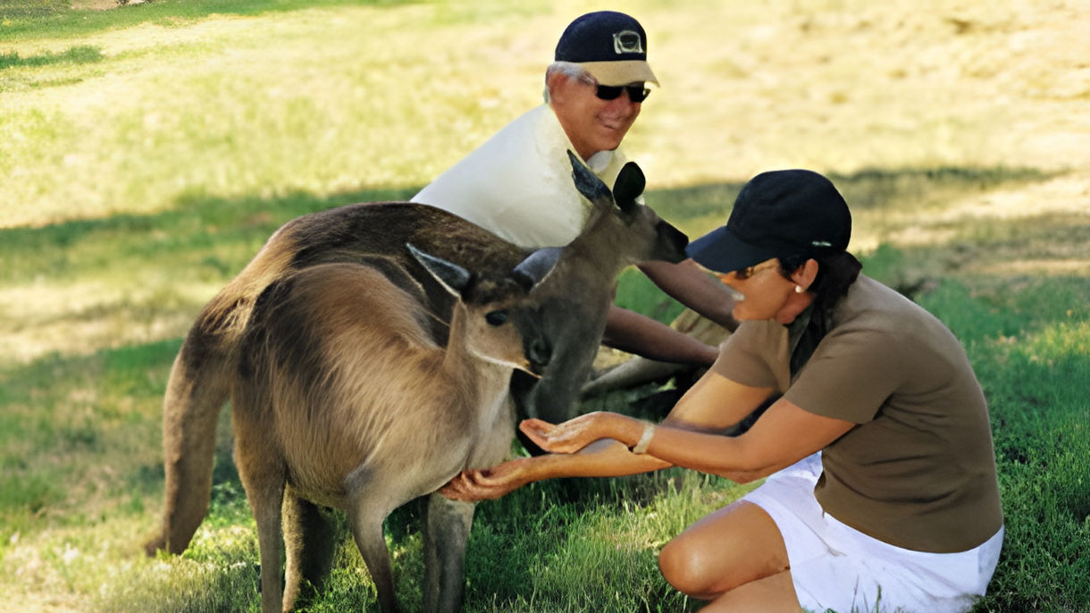 Best of Adelaide