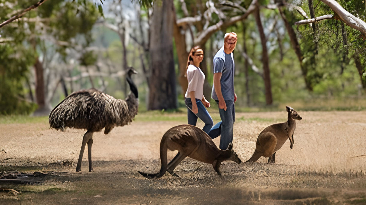 Cleland Wildlife Park