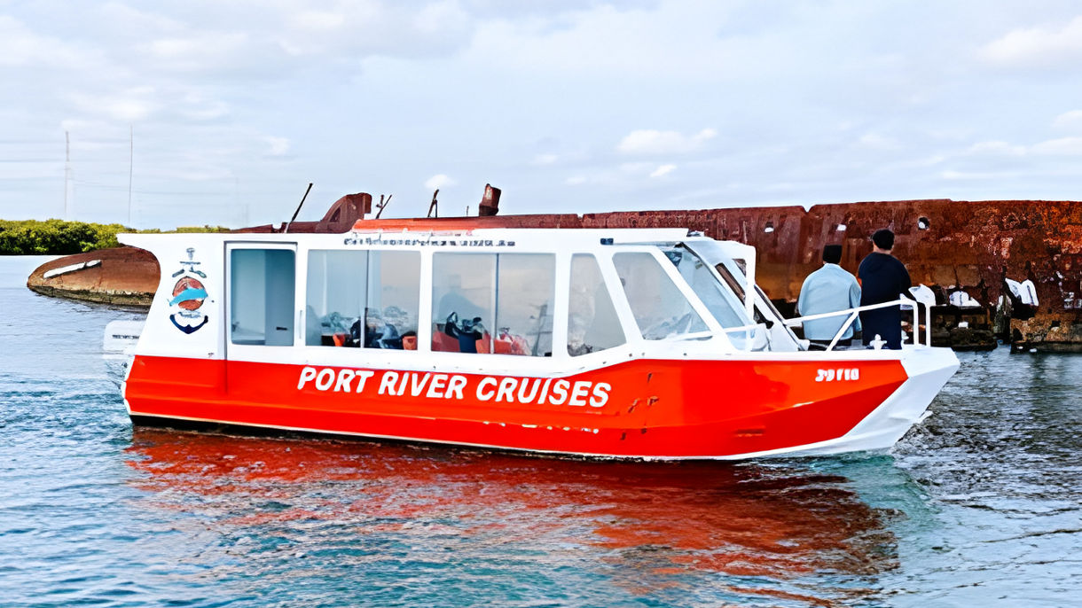 Dolphins, Shipwrecks & Maritime History Tour