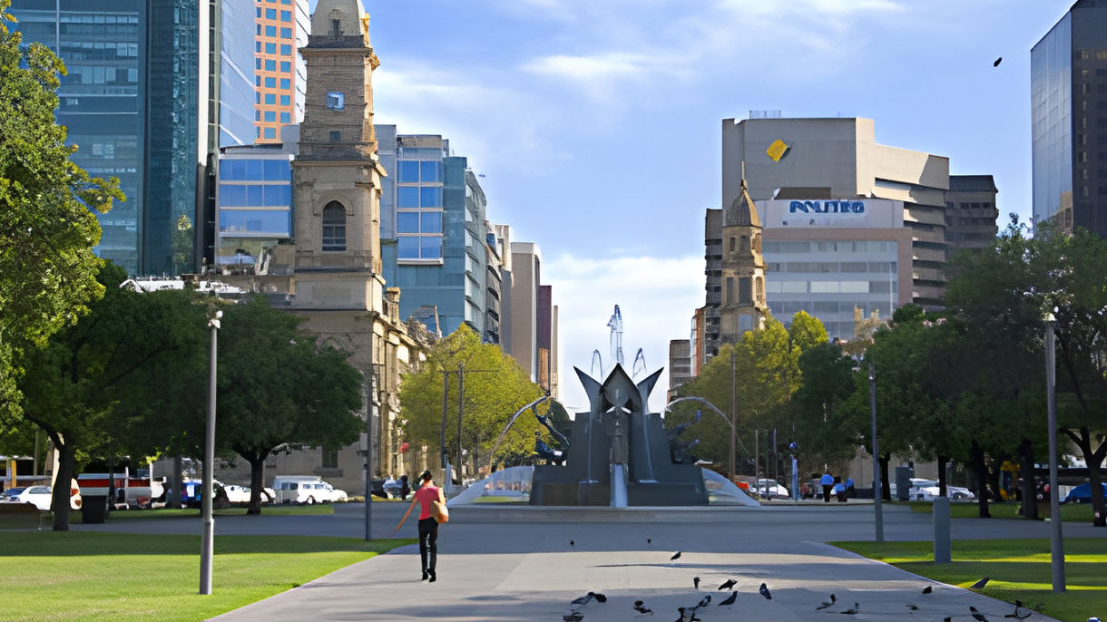 Adelaide by Private Vehicle - Van Class Half-Day (With Driver)