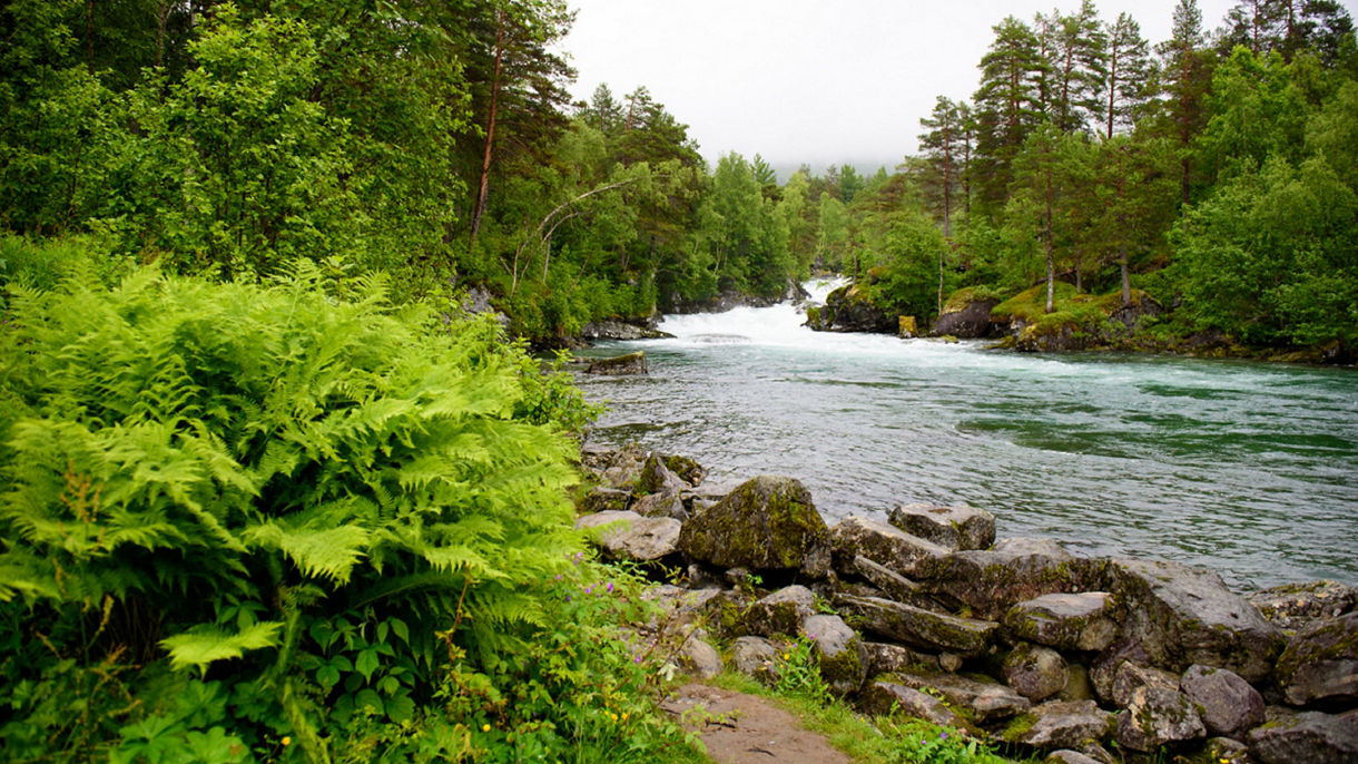 The Path of the Trolls: A Journey through Norway's Mystical Mountains