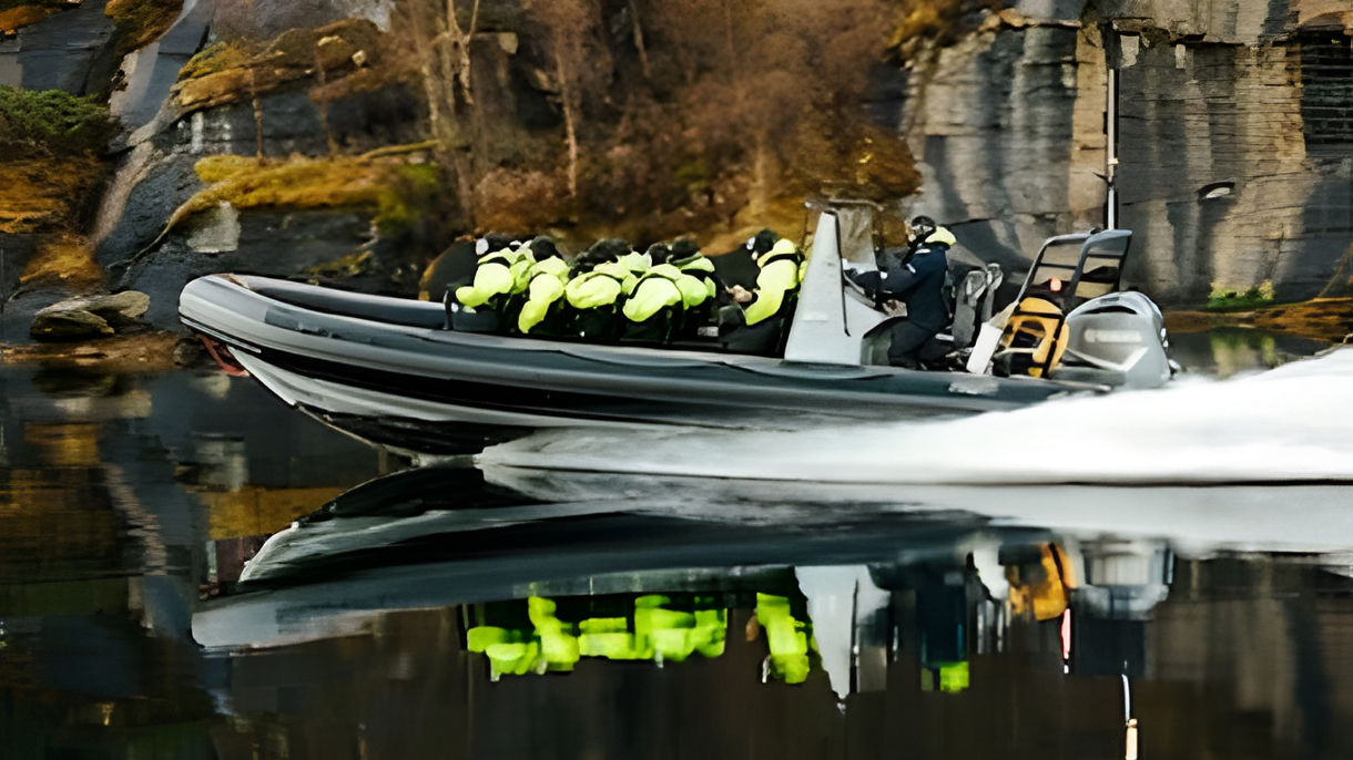 Wildlife RIB Safari