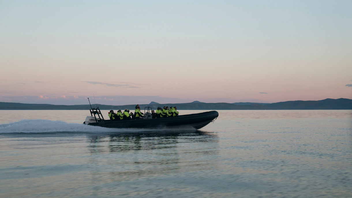 Wildlife RIB Safari