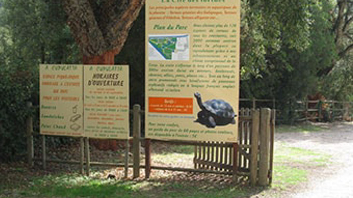 Corsica Beach Getaway & Tortoise Protection Center