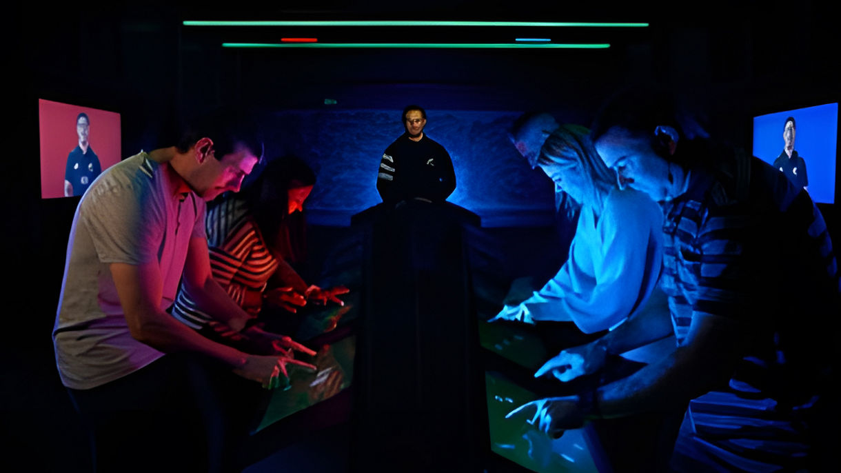 Local Connections: All Blacks Experience & Auckland Highlights