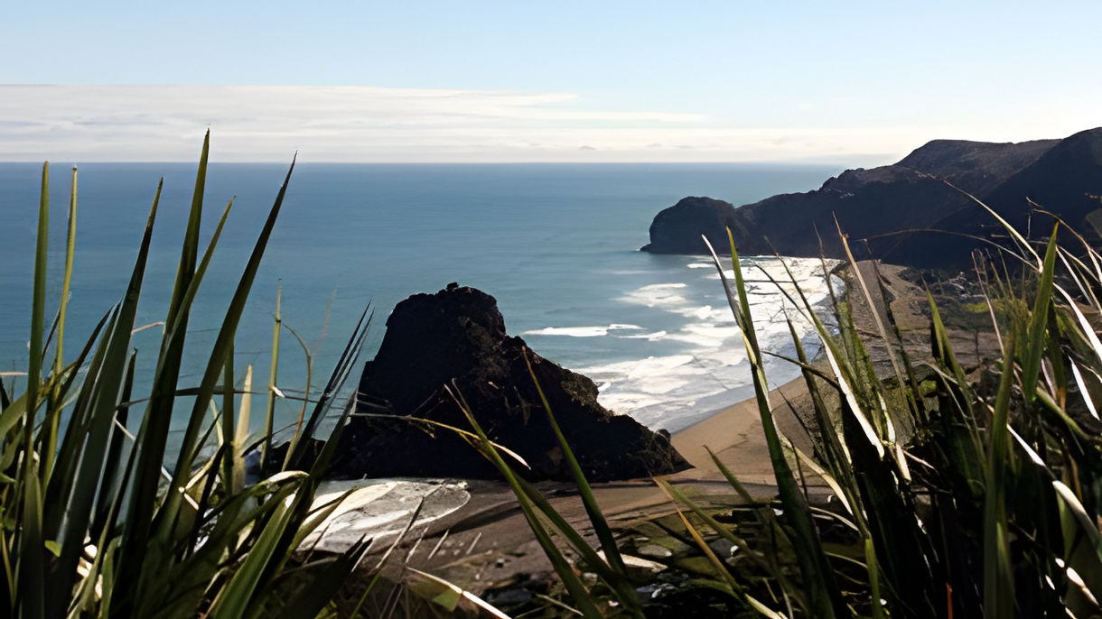 Piha Bush & Beach Eco Tour