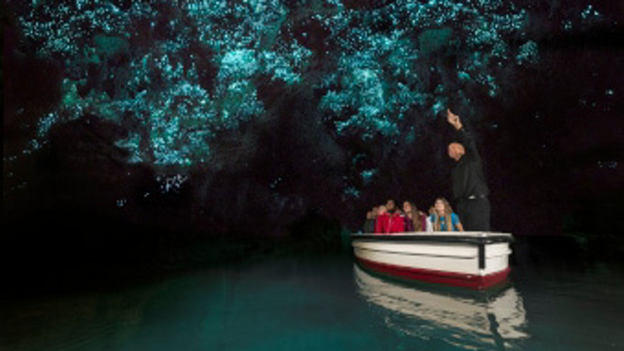 Debark Tour: Waitomo Glow Worm Grotto