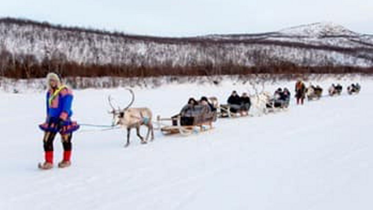 Sami Camp & Reindeer Sledging