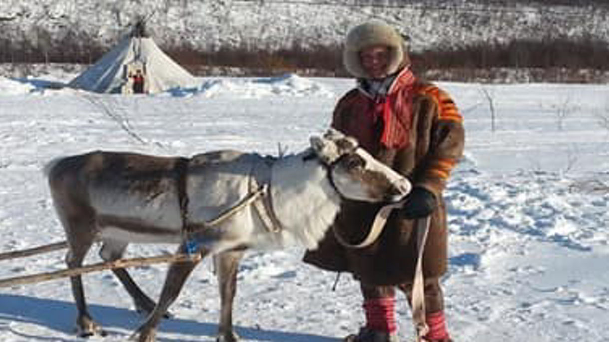 Sami Camp & Reindeer Sledging