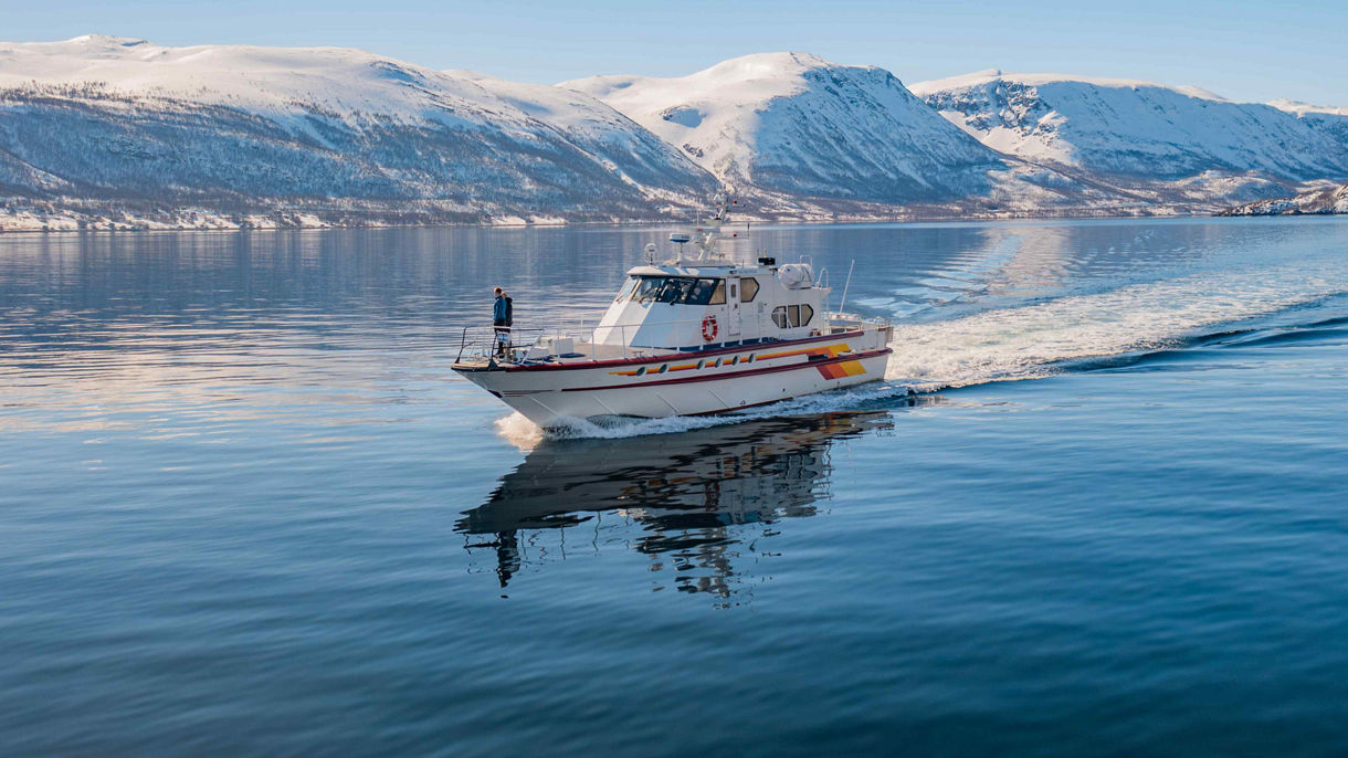 Fjordsafari
