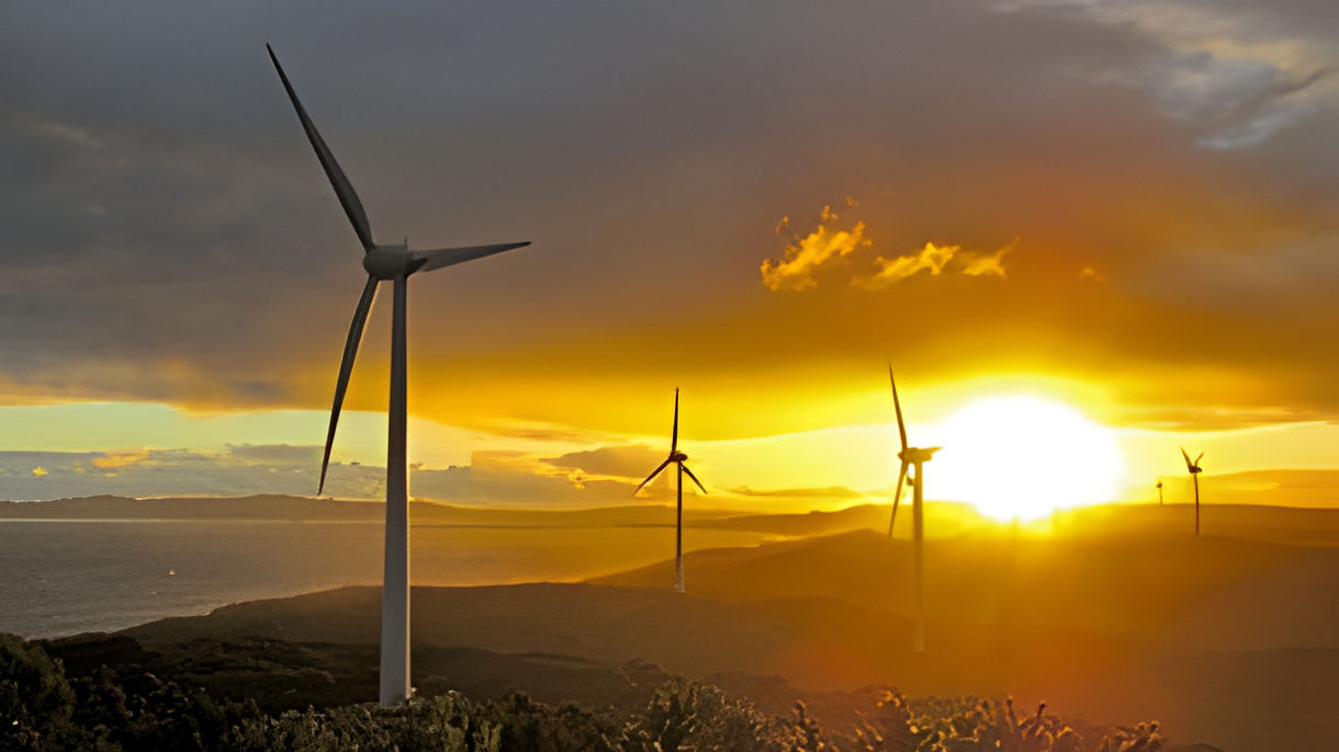 Easy Albany: Torndirrup National Park & Albany Wind Farm