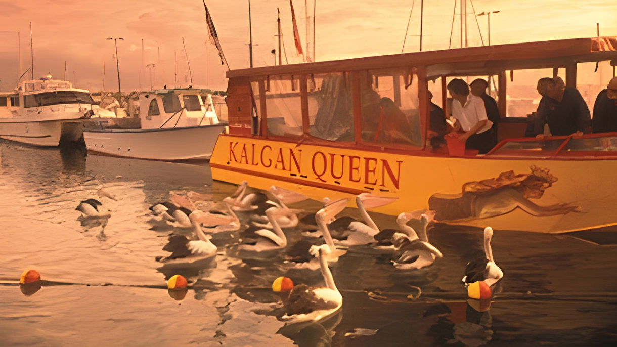 Oyster Harbour & Kalgan River Cruise