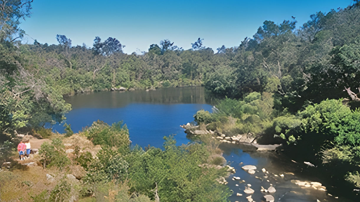 Oyster Harbour & Kalgan River Cruise